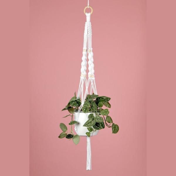A macrame plant hanger against a dusty pink backbround