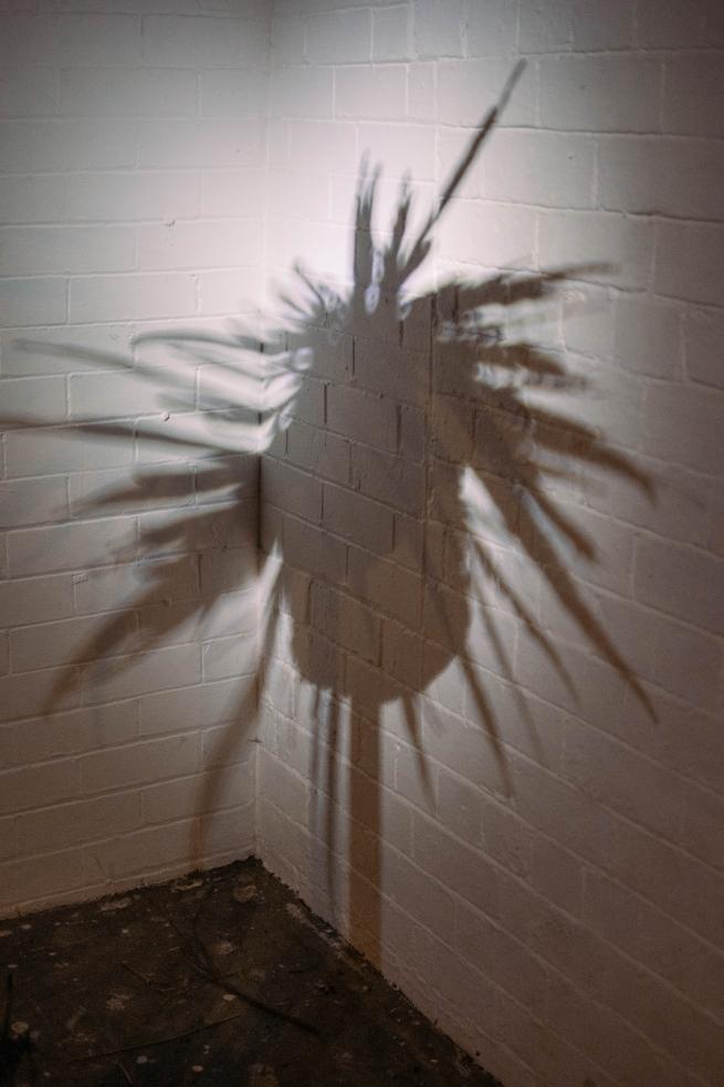 A silhouette of a sculpture is seen against a white wall, with a bright light creating it.