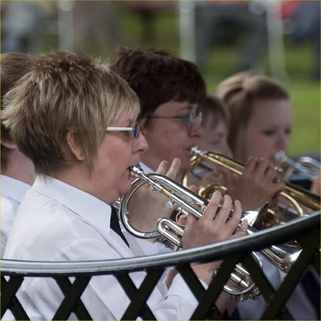Musicians performing in a brass band.