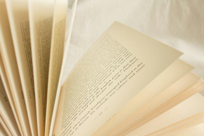 the pages of an open book