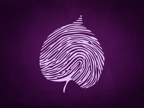 light purple linden leaf with a fingerprint pattern on a dark purple background