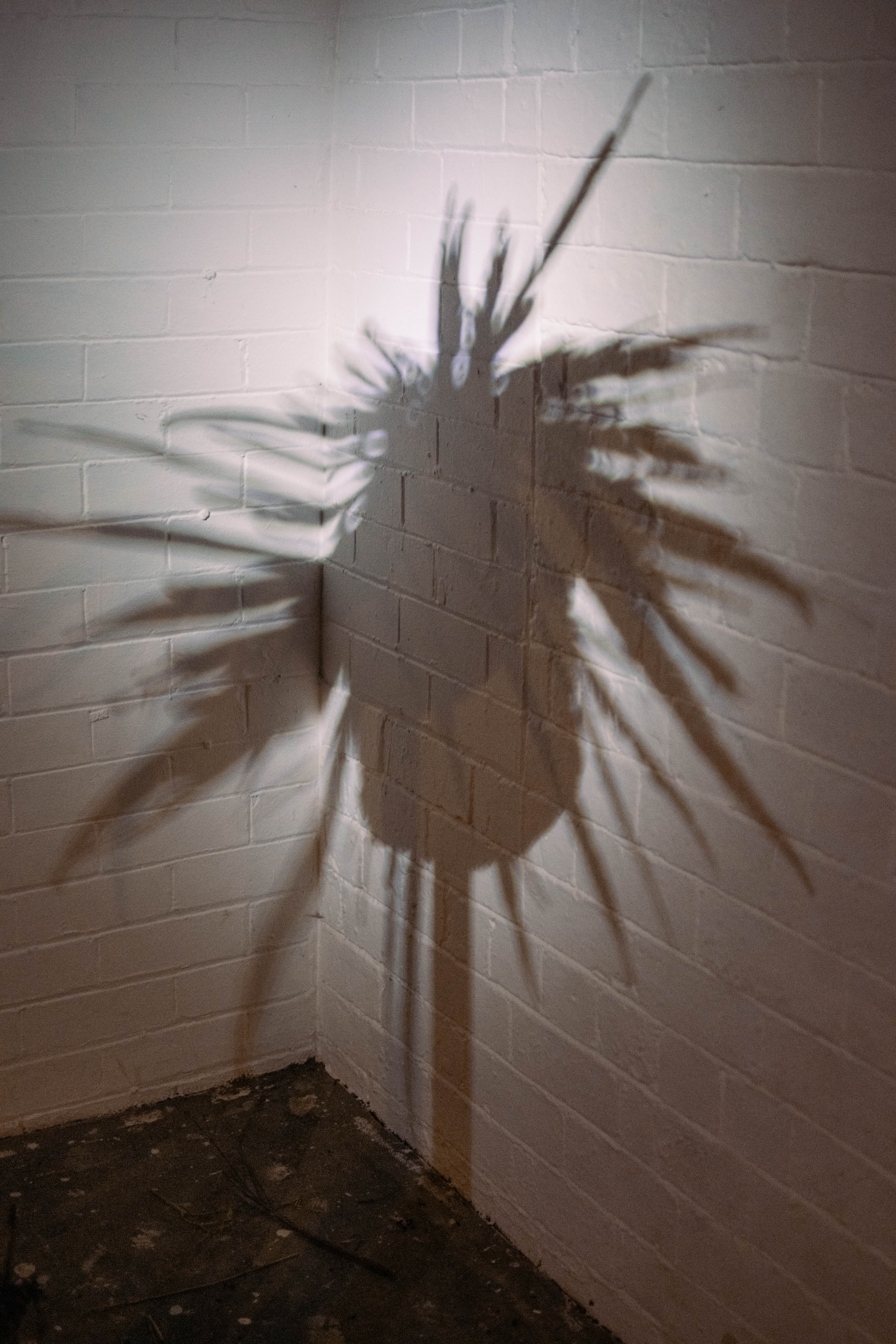 A silhouette of a sculpture is seen against a white wall, with a bright light creating it.