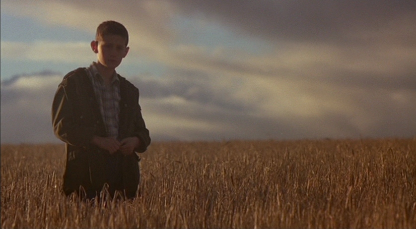 12 year old boy stands in a field of wheat 