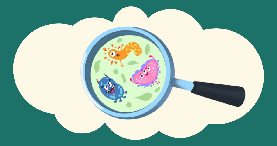 Cartoon-style illustration of three germs inside a magnifying glass.