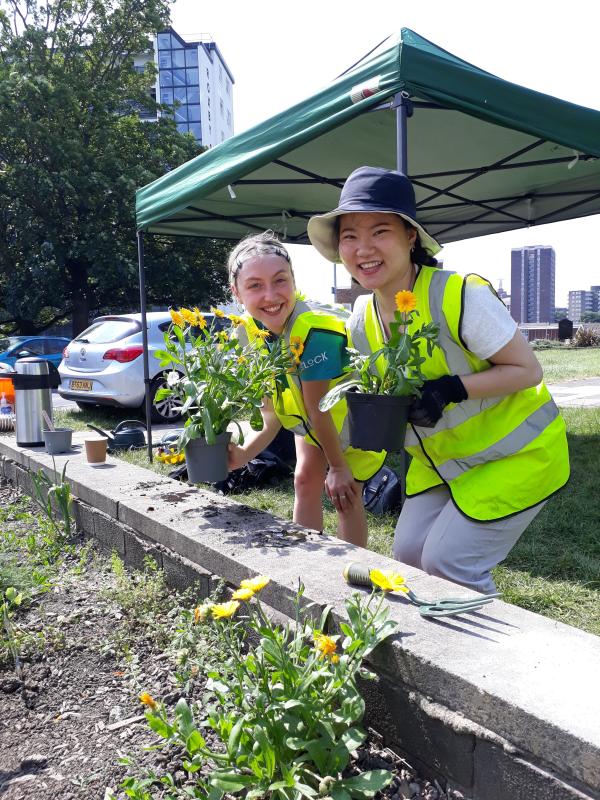 Two smiling women stand next to a flower bed. They are holding yellow gerbera daisies that they are about to plant. 