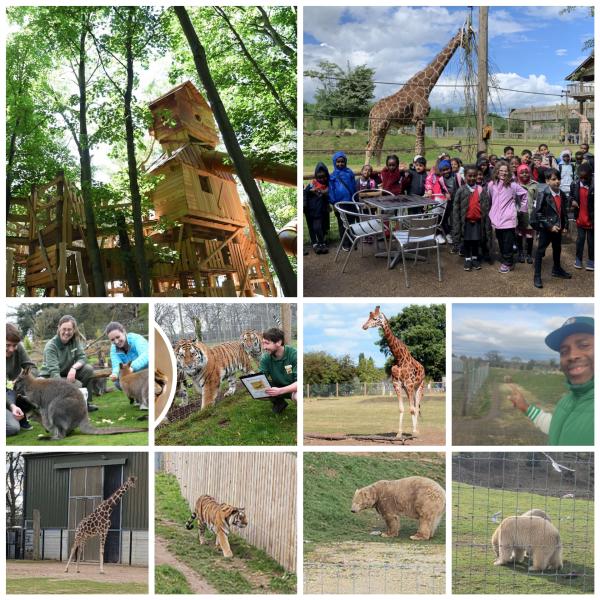 A WILDLIFE ZOO EXPERIENCE@DONCASTER ZOO, BEST TRUE LIFE EXPERIENCE