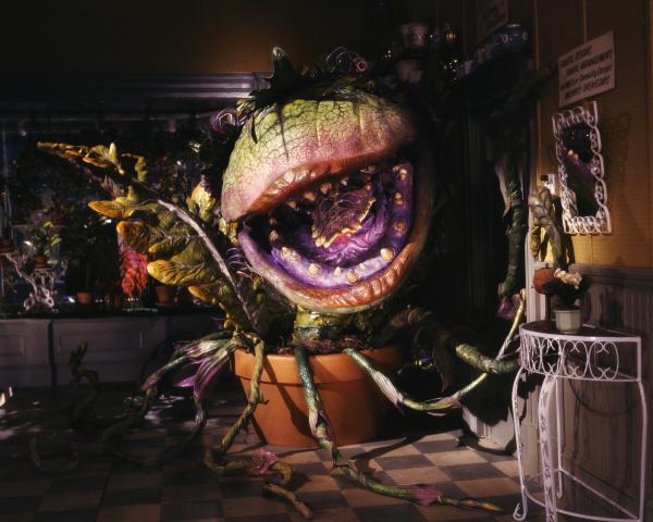 Audrey II, an oversized puppeteered human-eating plant similar to a venus flytrap with alienesque tentacles.