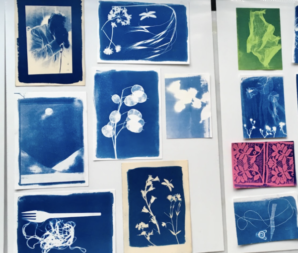 A variety of cyanotype prints depicting imagery including of flowers and plants