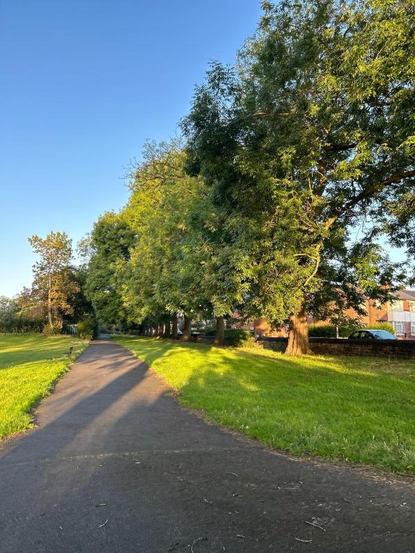 sunny burley park