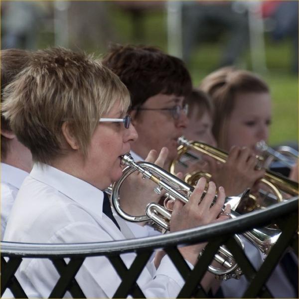 Musicians performing in a brass band.