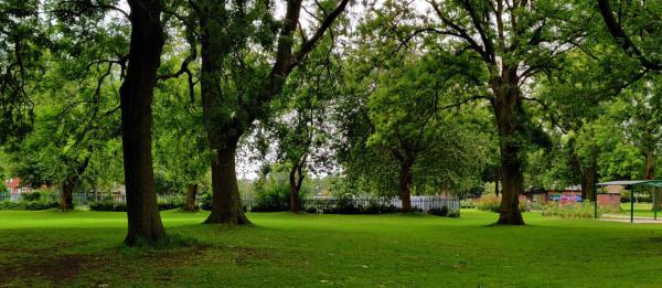 A photo of a park.