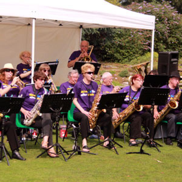 Musicians performing in a park.