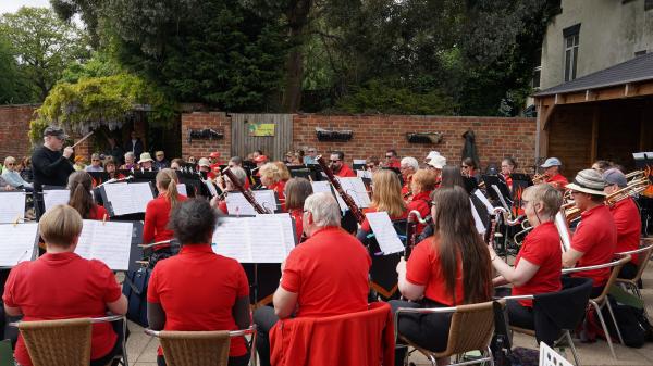 Musicians performing in a park. 