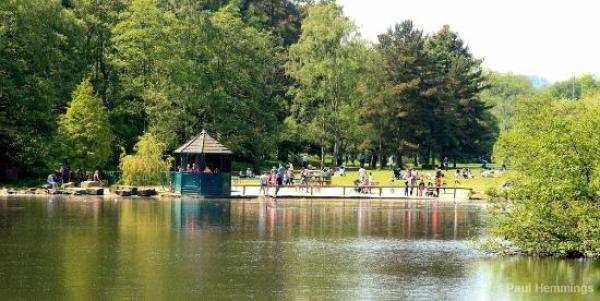 An image of a park. 