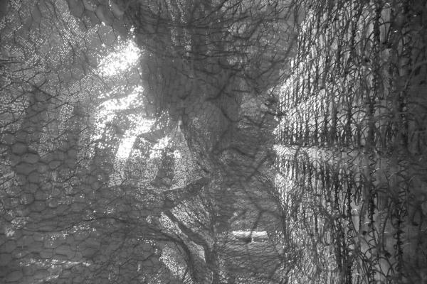 A black and white abstracted image featuring a repeating pattern