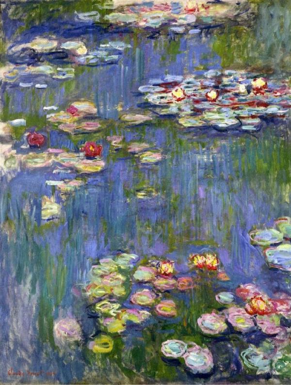 Moneys waterlillies