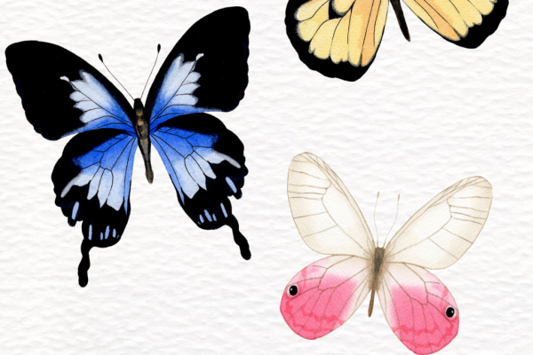 Three painted colorful butterflies - blue, yellow, and orange - fluttering on a plain white background.