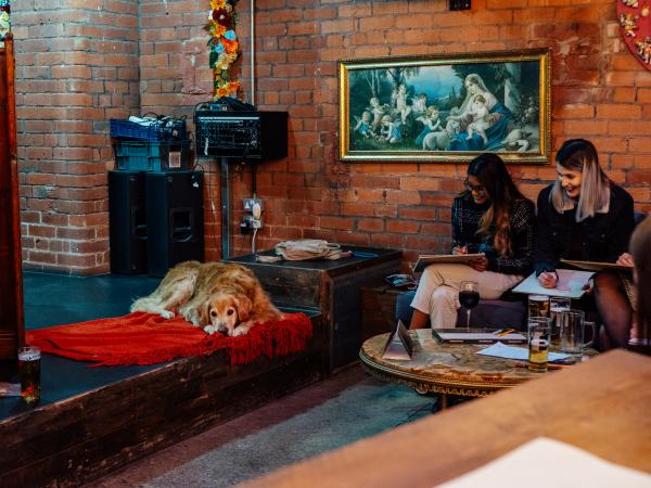 Photo of a dog laid down while 2 people attempt to draw the dog
