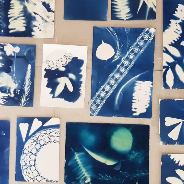 Examples of cyanotype prints