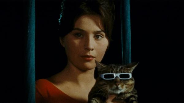 A woman with brown hair and holds a cat wearing sunglasses
