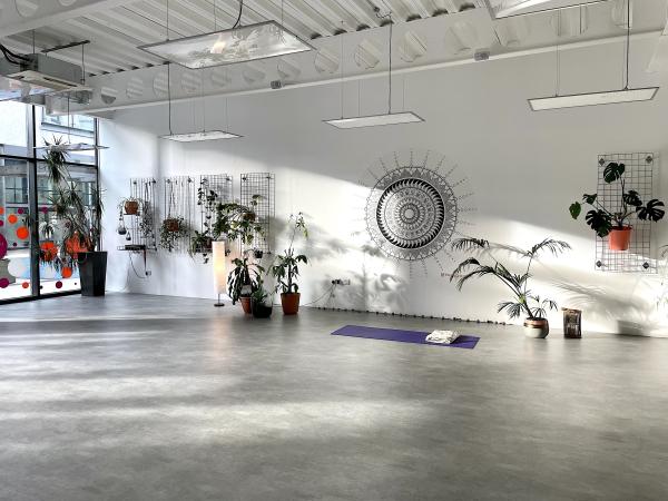 Yoga Hero Studio 1 with light streaming in the windows
