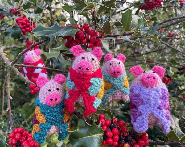Knitted pigs hanging in a Holly Bush