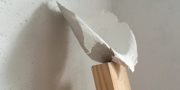 Curved clay on wood