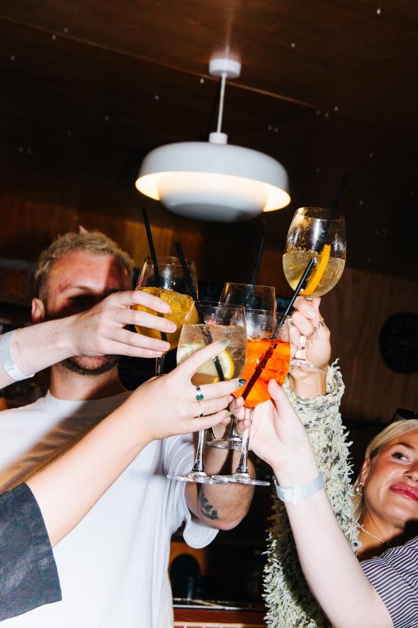 Group of people cheersing drinks.