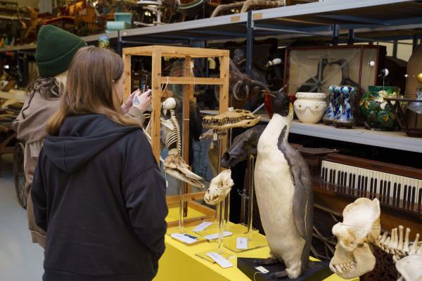 Two people looking at shelves full of museum objects, including a piano, penguin and a vase.
