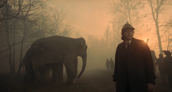 A man is standing in front of an elephant in a forest at sunset.