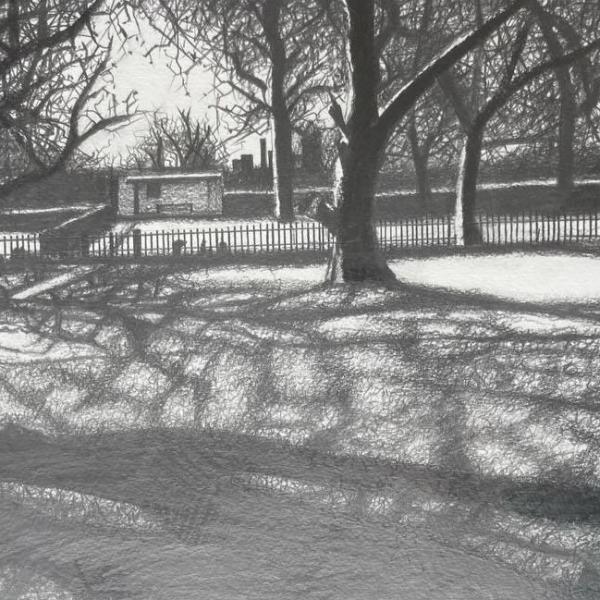 A photo of a pencil drawing of some trees