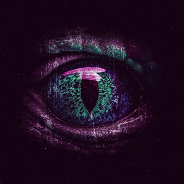 Snake eye image