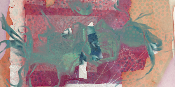 collage of images