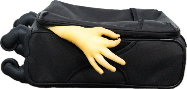 Pack Your Shit and leave