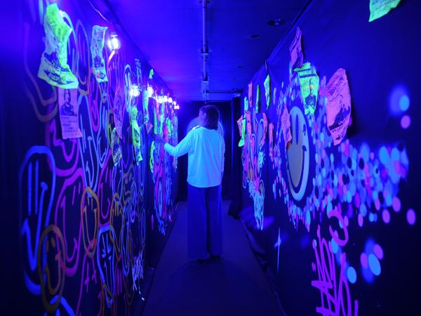 inside the experience