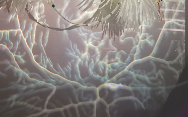 A microscope image of a neuron is projected onto part of a neuron model.