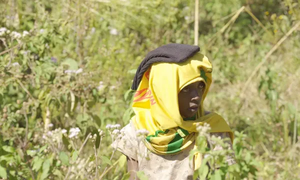 Medium closeup of a woman in walking a field with her head covered by a t-short to protect her from the sun.