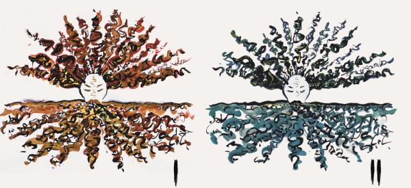 illustration