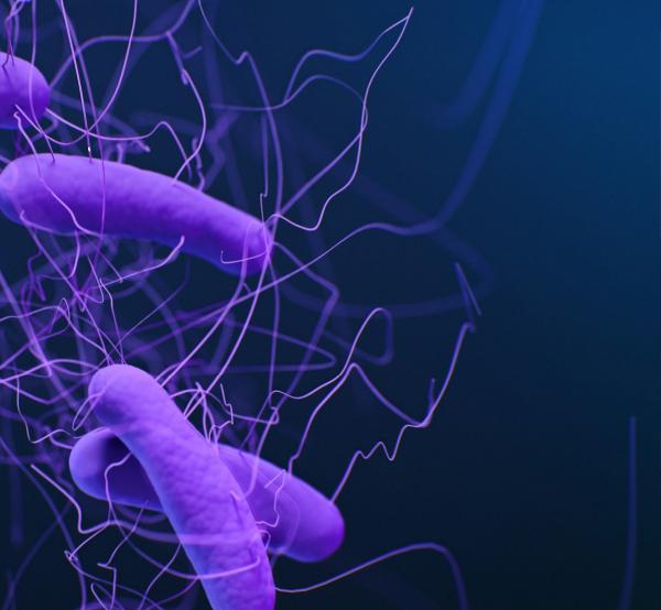 Purple hovering microbiomes