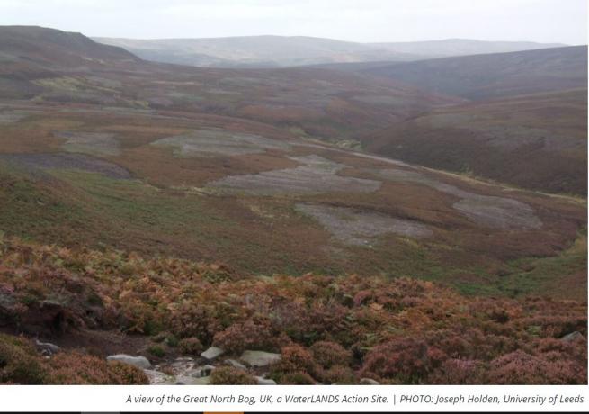 Waterlands - Great North Bog View