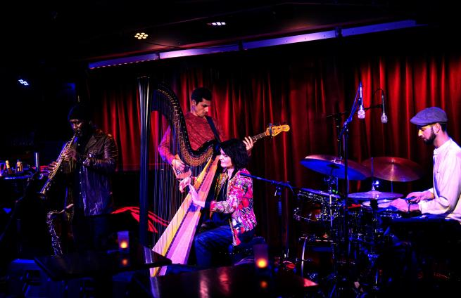 Alina Bzhezhinska playing Harp with her quartet