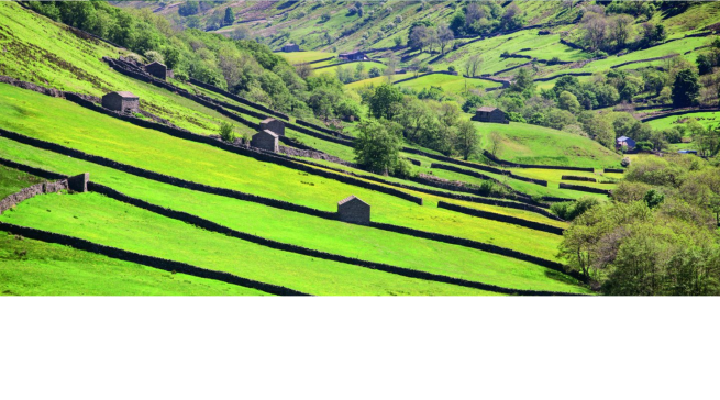 Swaledale barns and walls Stephen Garnett / https://www.yorkshiredales.org.uk/plan-your-visit/