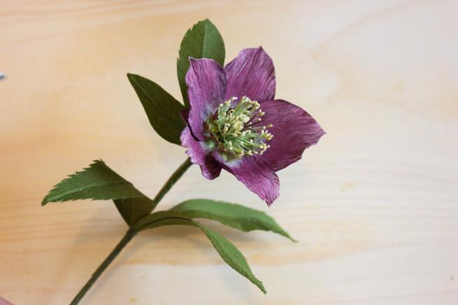 A paper Hellebore with pettled dyed a rick purple with light green and yellow pollen stems.