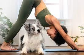 Puppy yoga in action.