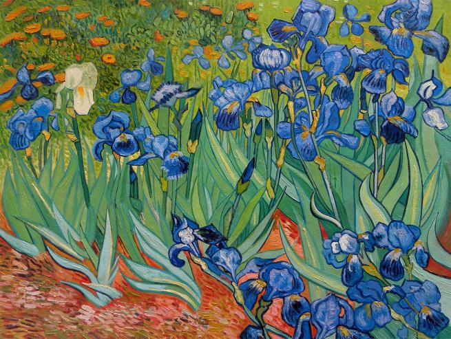 Van Gogh iris