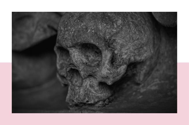 A black and white photo of a skull on a pink background.