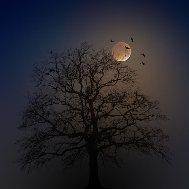 Tree at night with the moon and bats flying