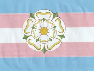 the white rose of yorkshire of a trans flag background. the trans flag has the following coloured striped decending from top to bottom: blue, pink, white, pink, blue.