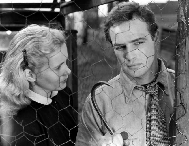 A man with a hook in his hand a woman with blonde hair look through a chickenwire fence