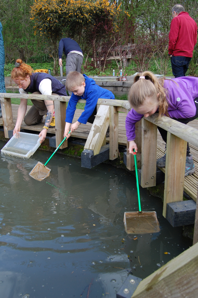 Children pond dipping.